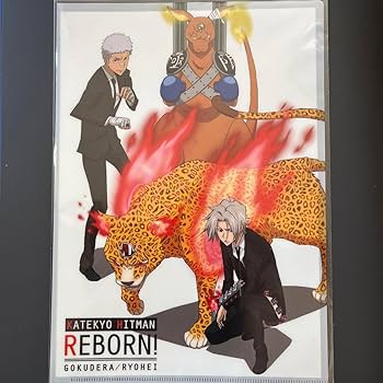 家庭教師ヒットマンREBORN！ A4クリアファイル Amazon.co.jp: 家庭教師ヒットマンreborn！ a4クリアファイル